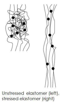 Representation of the polymer chains in stressed and unstressed elastomers